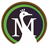 Moreweb Solutions - Web Design | Web Development | SEO | Social Media Marketing | Graphics Ahmedabad India